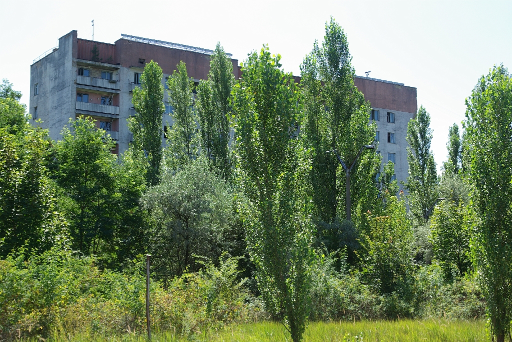 IMGP7469.jpg