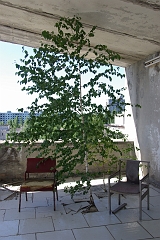 IMGP7489