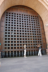 IMGP7392