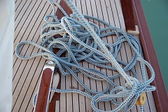 IMGP7771