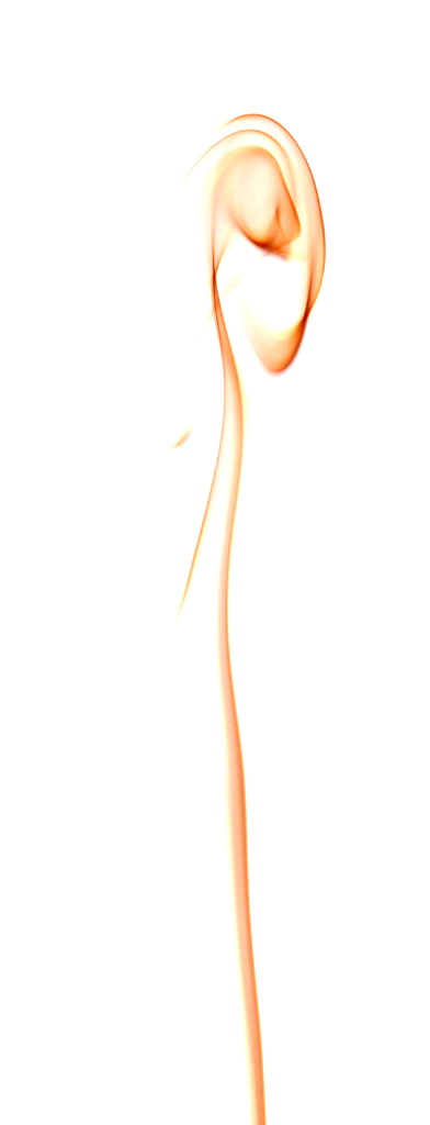 IMGP7899w.jpg