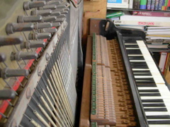 DSCN0269