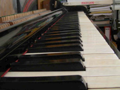 DSCN0275