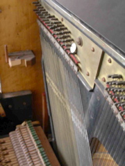 DSCN0260